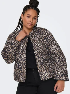 CARHALLIE Chaqueta acolchada