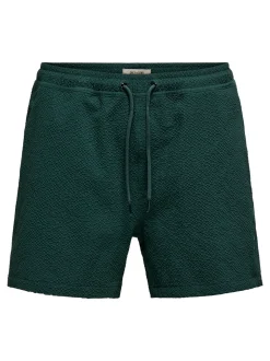 ONSTED Swim Shorts